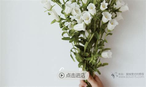 中国花卉名称大全,常见花的名字和图片,常见花卉名称大全_大山谷图库