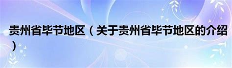 贵州毕节科技学馆（4通道速通门）_浪兴智慧旅游平台运营服务有限公司