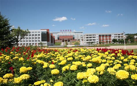 承德医学院2023年普通本科分省、分专业招生计划 —河北站—中国教育在线