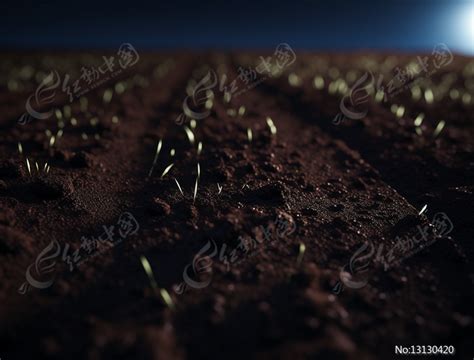 泥土生长绿叶植物素材图片免费下载-千库网