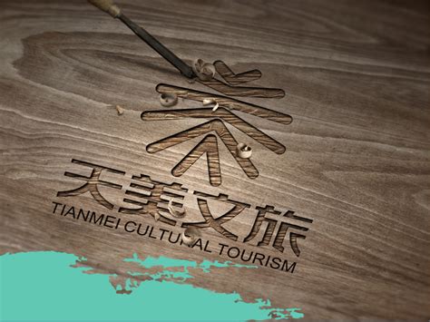 北京天美文化旅游公司LOGO-logo11设计网
