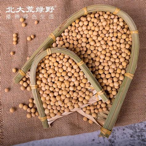 黑龙江省最新水稻、玉米、大豆价格行情汇总 - 惠农网