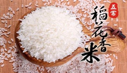黑龙江寒地大米当季长粒香新米东北大米一级粳米家常五斤装2.5kg
