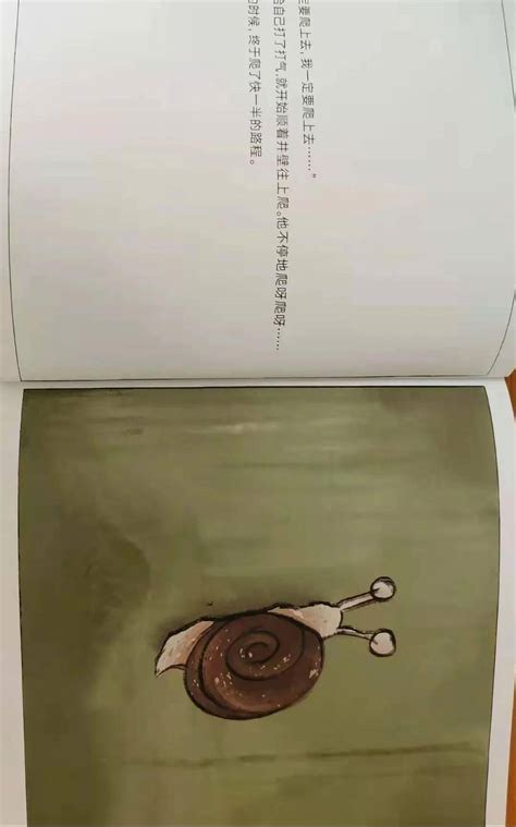 【童言童语】 绘本故事《掉井里的蜗牛》《我爸爸》——东张幼儿园宝贝故事屋_段皓硕