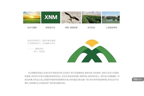 农业品牌 农资公司品牌形象设计 鑫农茂品牌设计 (4)