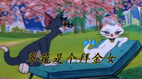 猫和老鼠东北话版之翠花不上酸菜_高清1080P在线观看平台_腾讯视频
