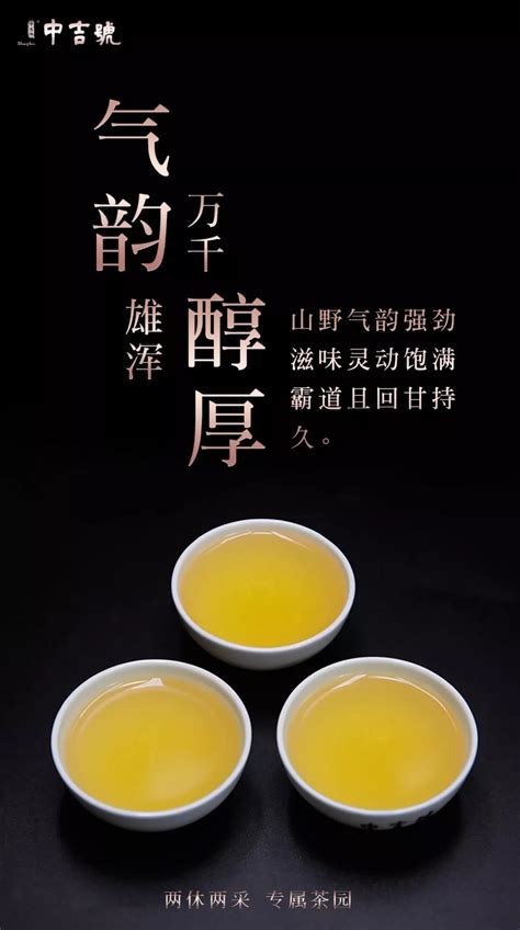 生普洱茶价格多少钱一斤_苦荞茶文化
