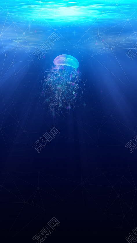 蓝色深海海洋背景图背景图_新图网 https://ixintu.com 蓝色 深海 海洋 户外运动 产品背景图 海洋背景 深海背景 蓝色海洋
