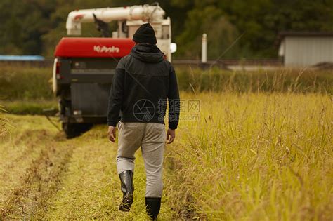 田间劳作的农民高清图片下载-正版图片502049853-摄图网