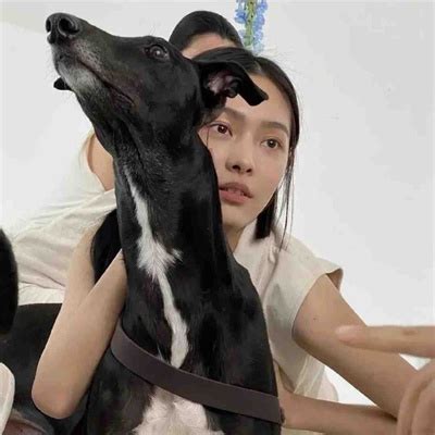 女生超温柔西装头像