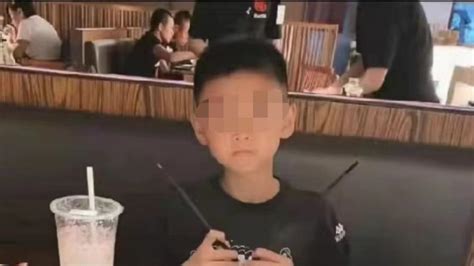 13岁男孩被4条恶犬咬死 嫌犯被刑拘_凤凰网