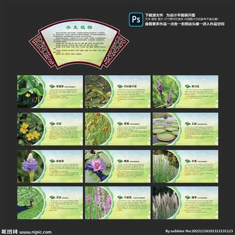 种植植物高清图片下载-正版图片303002608-摄图网