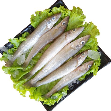鲻鱼和沙丁鱼的区别 - 惠农网触屏版
