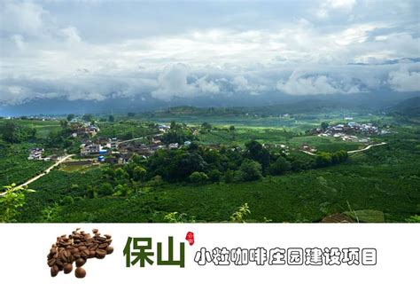 保山小粒咖啡庄园建设项目 --Yunnan Provincial Investment Promotion Bureau