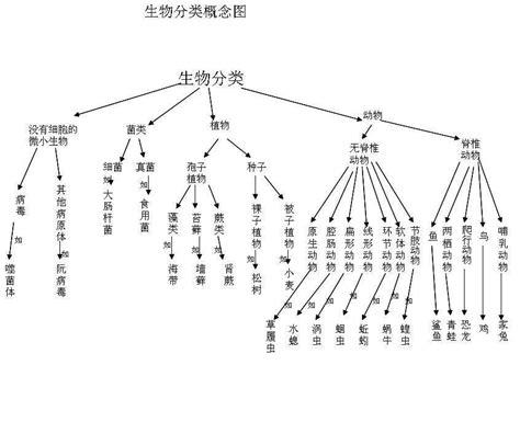 初中生物思维导图(全套) -24张生物知识框架图整理_知犀官网