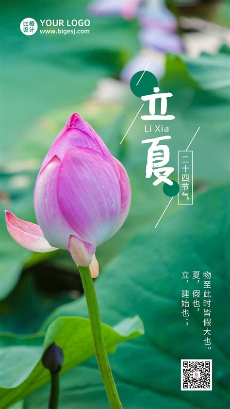 利夏图片