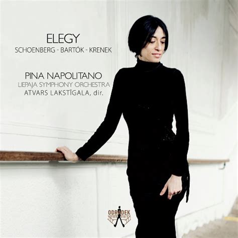 挽歌 (Elegy) (96kHz FLAC) - 索尼精选Hi-Res音乐