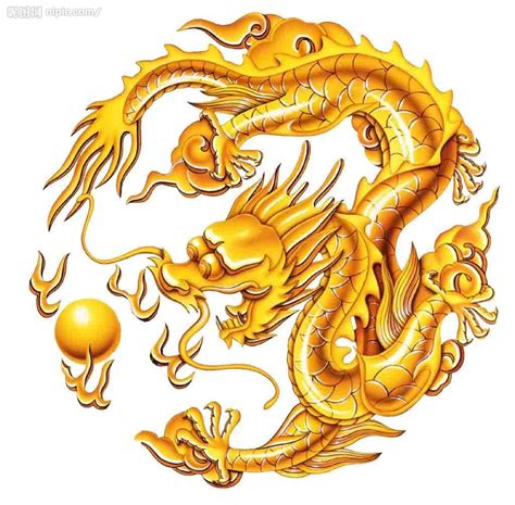 中国传统神话金色龙免抠图_高清PNG透明图片5设计素材_墨鱼部落格