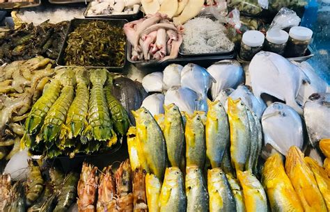 柳江渔民：寻一个好口，下网收鱼 | 百味人生