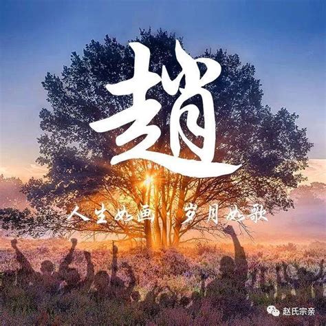 非主流赵字头像