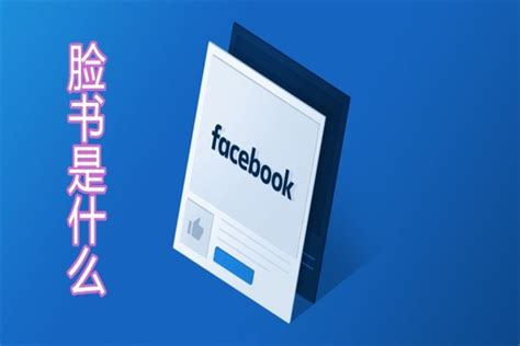 脸书怎么注册（注册Facebook账号的详细流程）-蓝鲸创业社