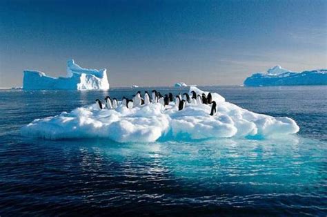 北极冰川正在快速融化，2030年可能融化完，专家指出后果很严重_全球