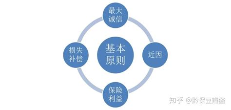行政法基本原则有四个原则对吗_东奥会计在线【手机版】