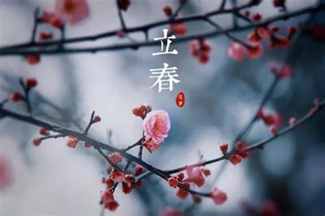 二十四节气之立春-节日习俗-福163百科
