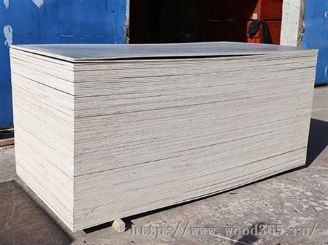 广西桉木木模板供应