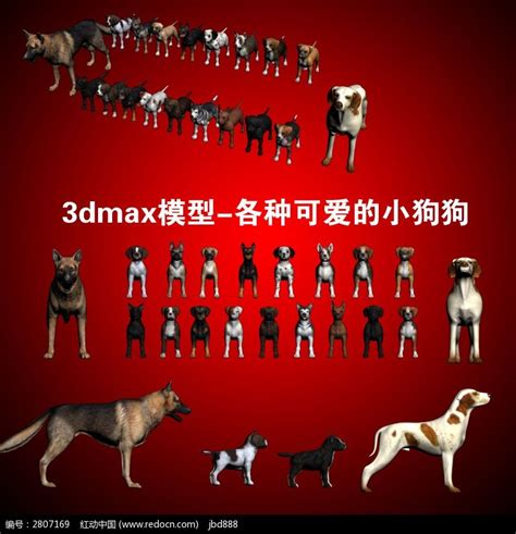 写实柴犬 狗 中华田园犬 3D扫描黄狗 小狗 打印手办 动物 宠物狗-cg模型免费下载-CG99