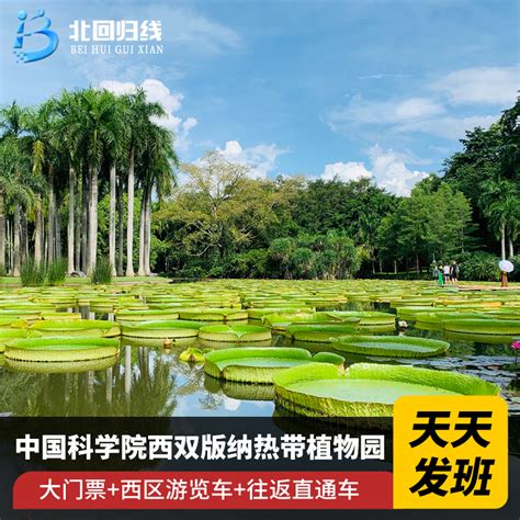 2019中科院西双版纳热带植物园-旅游攻略-门票-地址-问答-游记点评，西双版纳旅游旅游景点推荐-去哪儿攻略