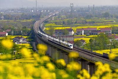 陕西汉中：高铁列车穿行花海中-人民图片网