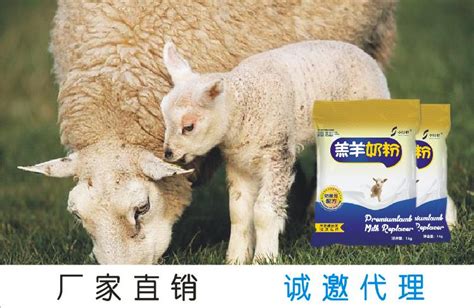 淮北喂小羊用的奶粉哪里可以买到_小羊用的奶粉_张家口中博特生物技术有限公司