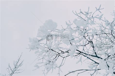 GIF冬季下雪唯美效果ps动作|其他|其他|Mac小助手 - 原创作品 - 站酷 (ZCOOL)