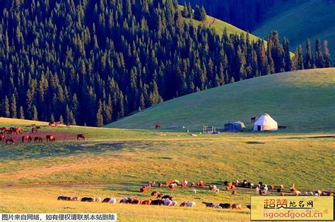 伊宁十大景点_新疆维吾尔自治区伊犁州伊宁县十大旅游景点排名
