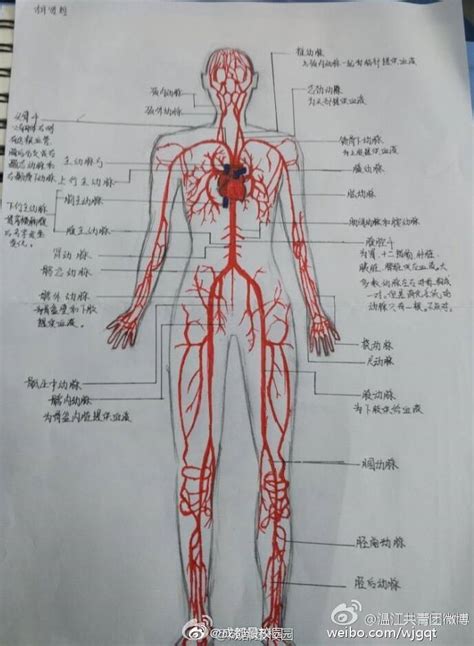 EASTANGELIA 的图像结果