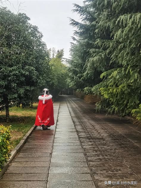 雨中游河南，探秘红墙白马腊梅黄，这6大观赏亮点有哪些？ - 联途