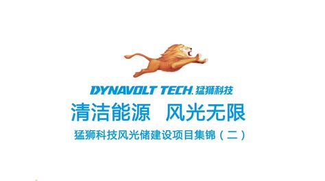 广东猛狮新能源科技股份有限公司