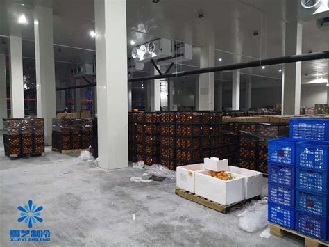 浙江300平方橙子保鲜库设计安装造价分析_上海雪艺制冷科技发展有限公司