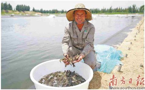 湛江：国字号对虾产业园领“鲜”升级-广东省农业农村厅网站