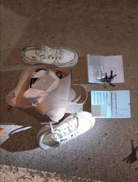 失踪四天的22岁中国籍女翻译尸体被发现_手机新浪网