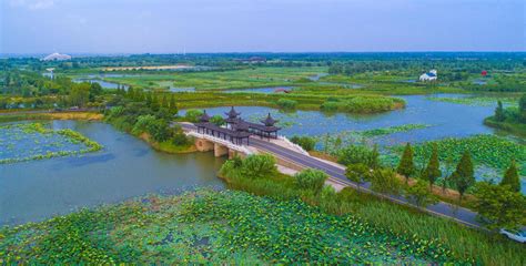 2015~2020年洪泽湖浮游植物群落结构及其环境影响因子
