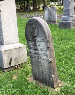 Elizabeth Chesebro Fuller (1803-1869) - Find a Grave Memorial