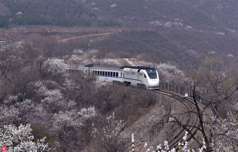 美炸了！重庆版开往春天的列车-高清图集-中国天气网