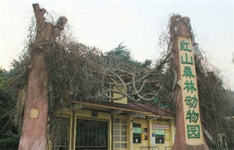 2018南京红山森林动物园门票价格+优惠信息_旅泊网