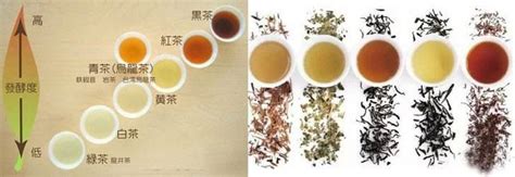 茶 茶叶 茶叶种类 茶叶分类 茶叶百科