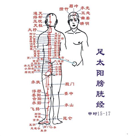 肾的经络位置图图片