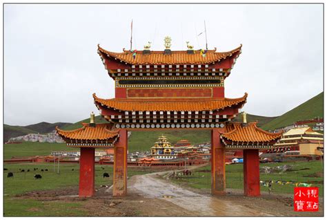 果洛达日县格萨尔狮龙宫殿文化艺术节开幕式_西藏艺人-站酷ZCOOL
