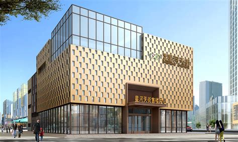 星河国际大酒店 - 公共建筑项目工程 - 广东奥科工程管理有限公司