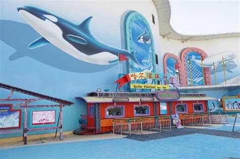 哈尔滨极地馆：中国首家以极地动物娱乐表演为主题的极地馆